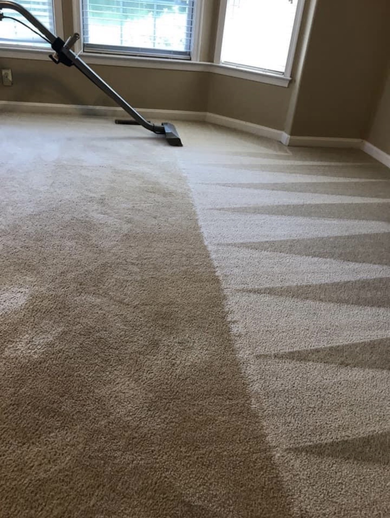 Carpet Cleaning service